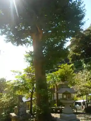 熊野新宮の自然