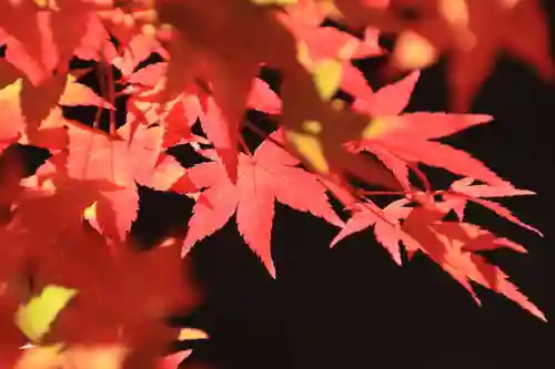 滑川神社 - 仕事と子どもの守り神の庭園