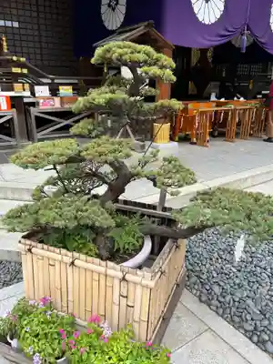 東京大神宮(東京都)