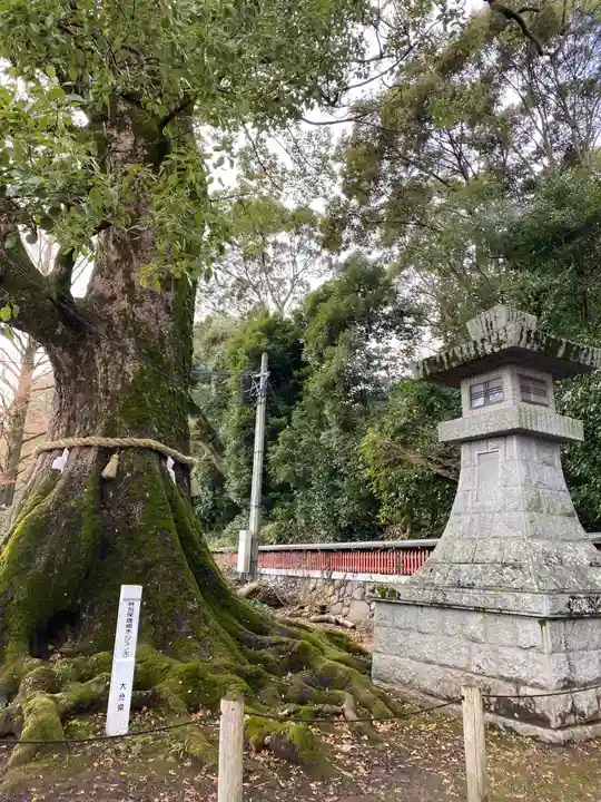 薦神社の自然