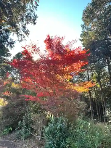 常樂寺(滋賀県)