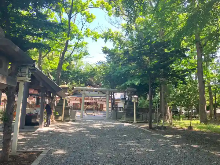新琴似神社(北海道)
