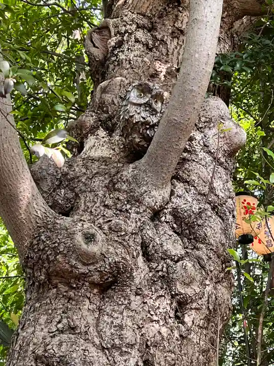 検見川神社の自然