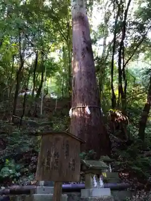 舟津神社の自然