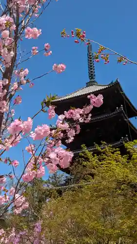 仁和寺(京都府)