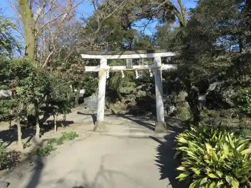 富士山本宮浅間大社の鳥居