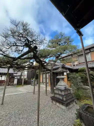 教善寺の建物その他