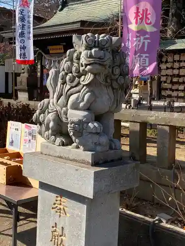 川越八幡宮の狛犬