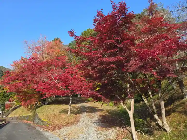 大呂神社(京都府)