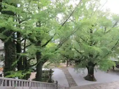 和霊神社(愛媛県)
