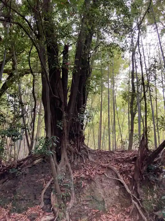若都王子神社(兵庫県)