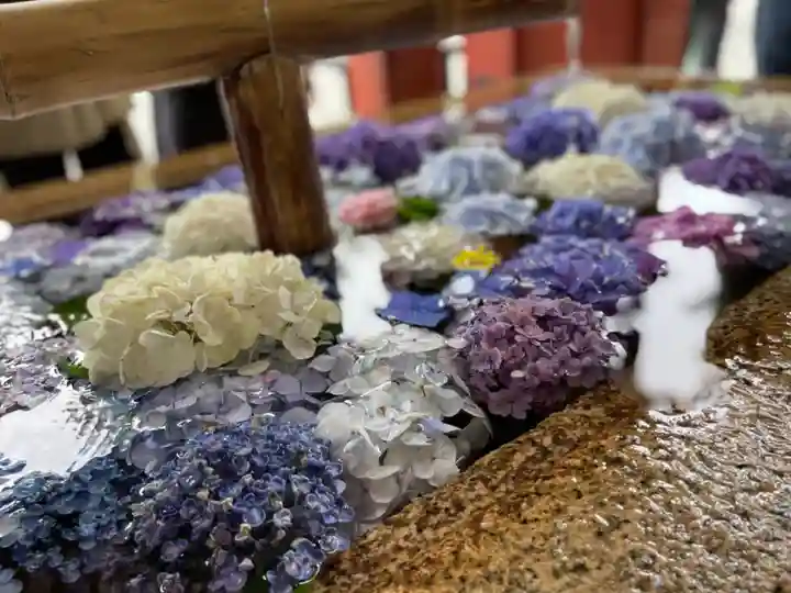 鶴岡八幡宮の手水舎