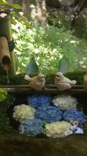 柳谷観音　楊谷寺(京都府)