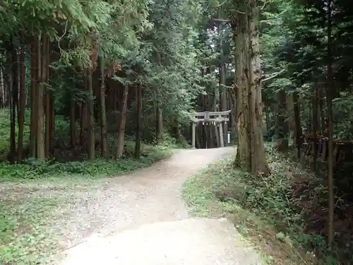 天乃石立神社の自然
