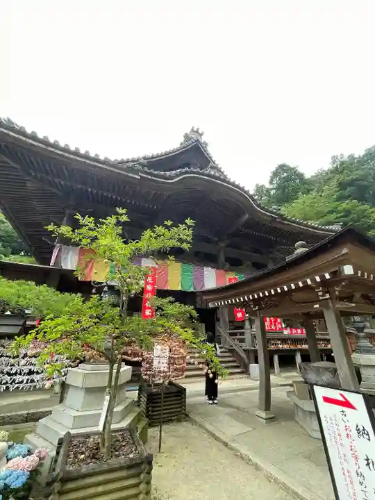 岡寺(龍蓋寺)(奈良県)