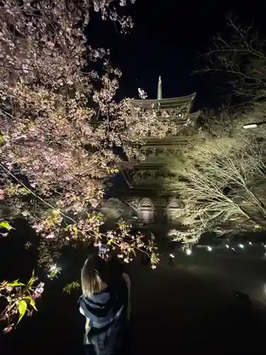 東寺（教王護国寺）の御朱印