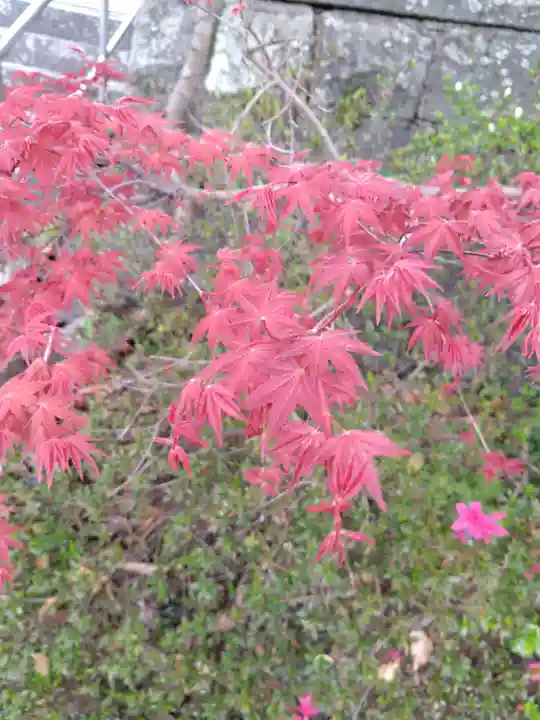 疋野神社(熊本県)