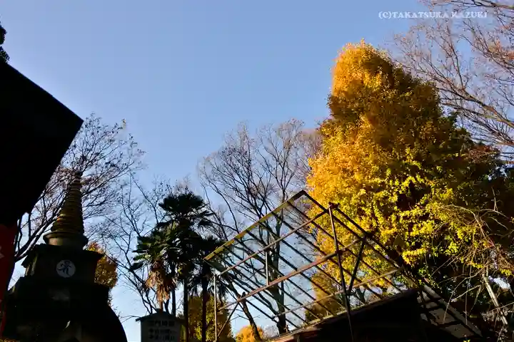 上野大佛(東京都)