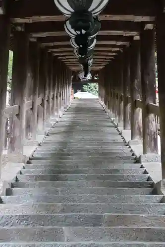 長谷寺(奈良県)