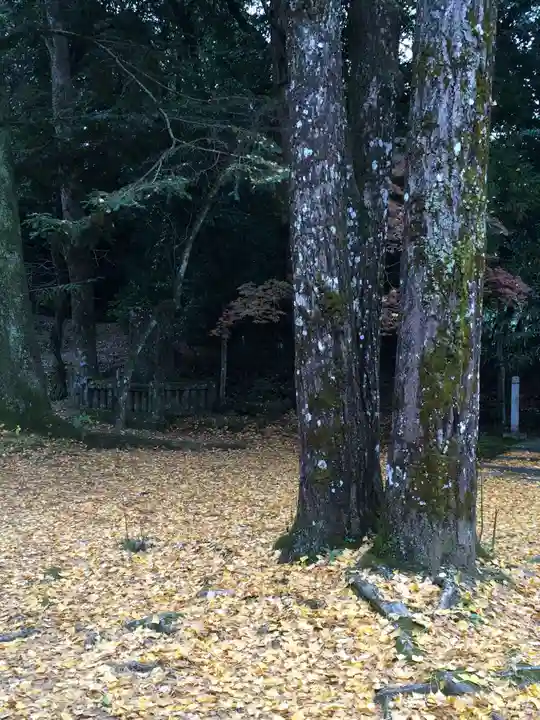 西寒多神社(大分県)