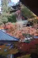 禅林寺(永観堂)の景色