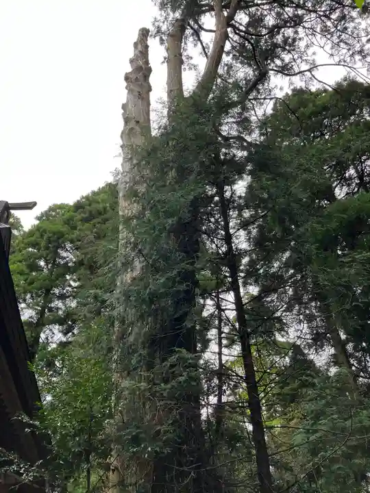 幣立神宮(熊本県)