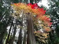 仁科神明宮(長野県)