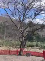 出雲神社(栃木県)