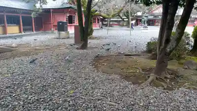 富士山本宮浅間大社(静岡県)