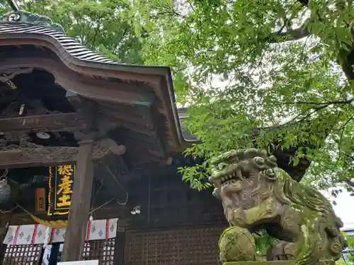 阿邪訶根神社の狛犬