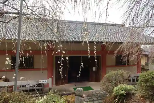 如意輪寺(奈良県)