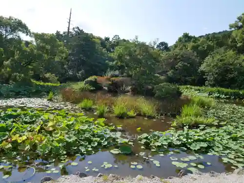 勧修寺の景色