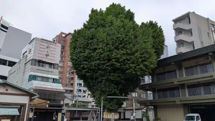 櫛田神社の自然