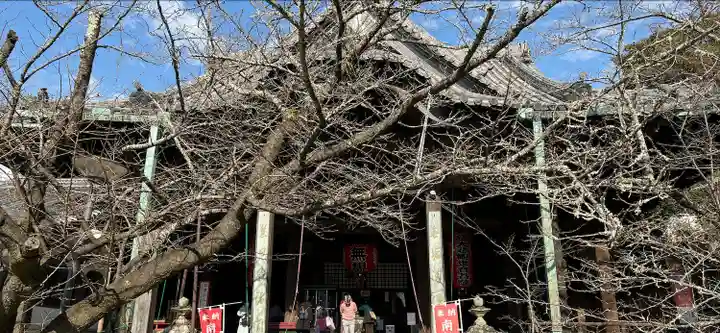 金剛宝寺(紀三井寺)の本殿・本堂