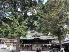 調神社の本殿