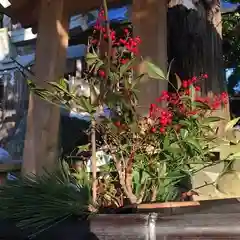 高司神社〜むすびの神の鎮まる社〜の自然