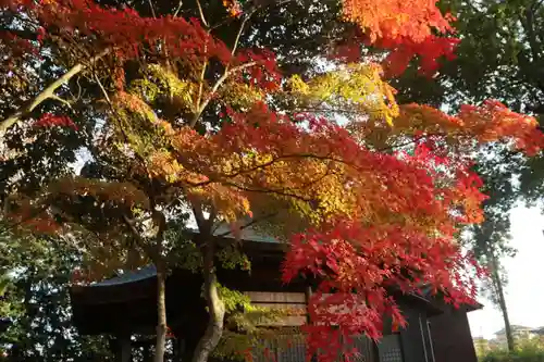 國祖神社の景色