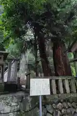 天鷹神社の自然