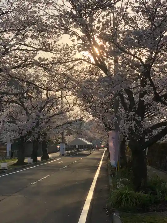 湊八幡神社(福井県)