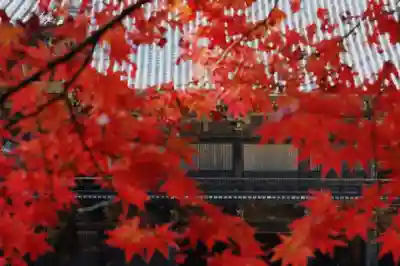 圓教寺(兵庫県)