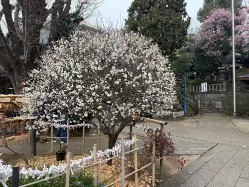 五條天神社の{uncategorized: "未分類", other: "その他", undefined: "問題あり", building: "その他建物", grave: "お墓", sacred_gate: "鳥居", guardian: "狛犬", statue: "像", buddha: "仏像", history: "歴史", nature: "自然", garden: "庭園", animal: "動物", pagoda: "塔", temizu: "手水舎", mountain_gate: "山門・神門", sanctuary: "本殿・本堂", subordinate: "末社・摂社", art: "芸術", scenery: "景色", jizo: "地蔵", ema: "絵馬", goshuin: "御朱印", omikuji: "おみくじ", items: "授与品その他", amulet: "お守り", goshuincho: "御朱印帳", eats: "食事", festival: "お祭り", votive_dance: "神楽", shichigosan: "七五三参", wedding: "結婚式", experience: "体験その他", initially: "初詣", around: "周辺", anti_infection: "感染症対策"}