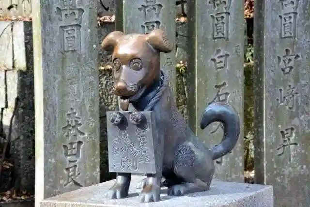 金刀比羅宮(香川県)