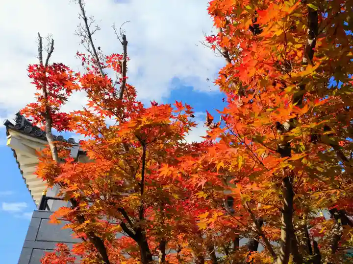 寿量山 速成寺の自然