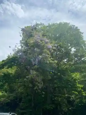 寺下観音の自然