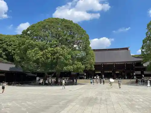 明治神宮(東京都)
