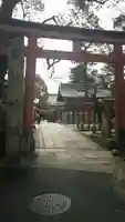 安井金比羅宮の鳥居