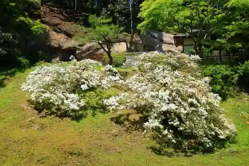 瑞巌寺の庭園