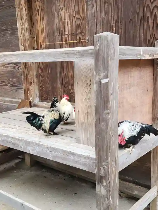 大崎八幡宮(宮城県)