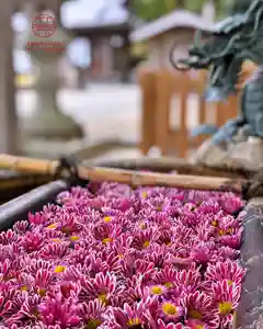 立志神社(滋賀県)(2025年11月13日(木) 20時55分51秒投稿)