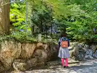伊雑皇神社の自然